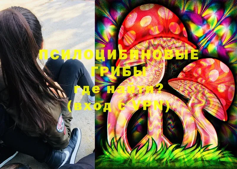 магазин  наркотиков  Духовщина  Псилоцибиновые грибы MAGIC MUSHROOMS 